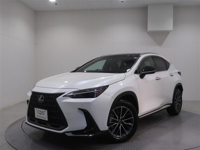 2024 Lexus NX