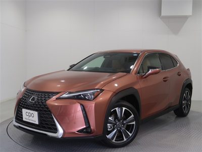 2024 Lexus UX