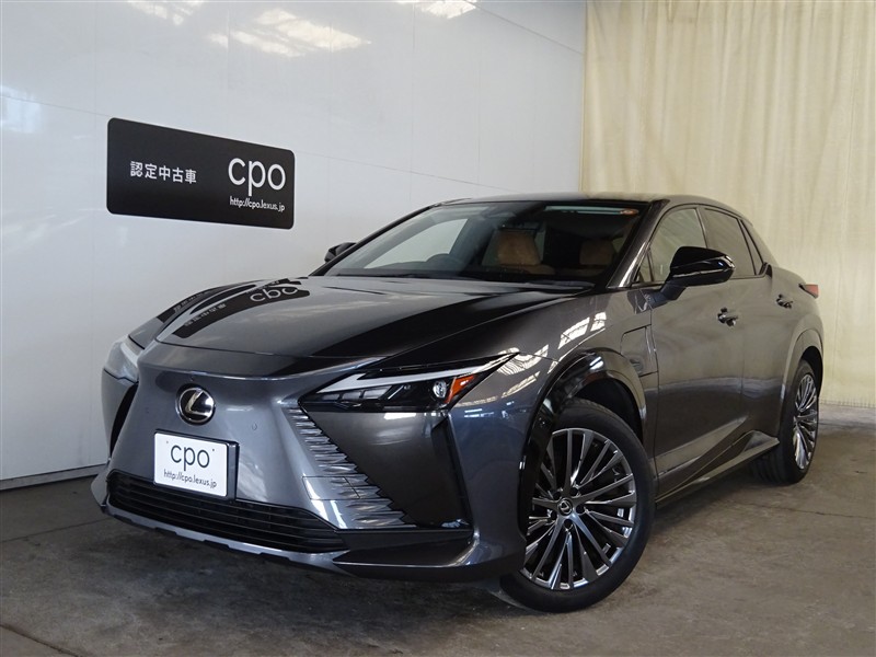 2023 Lexus RZ VERL