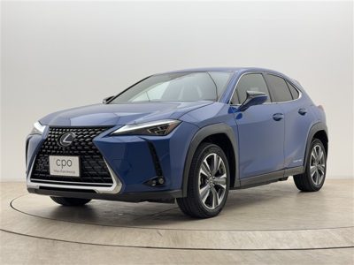 2021 Lexus UX