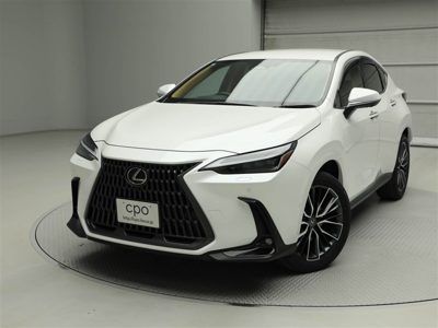 2024 Lexus NX