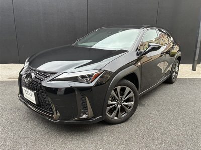 2021 Lexus UX