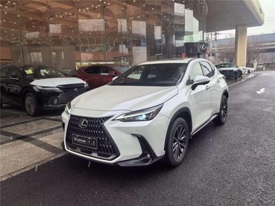 2023 Lexus NX