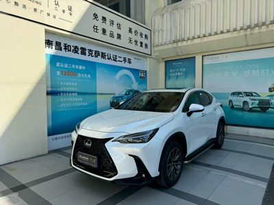 2024 Lexus NX