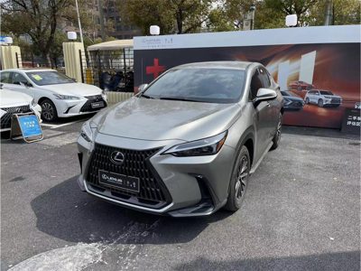 2024 Lexus NX