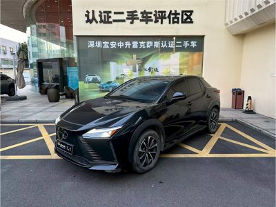 2023 Lexus RZ