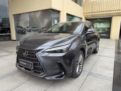 2022 Lexus NX