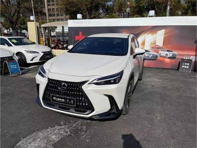2021 Lexus NX