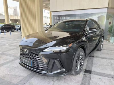 2024 Lexus RX