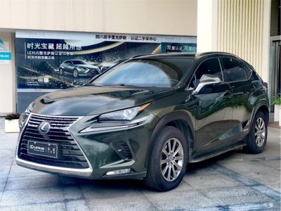 2020 Lexus NX