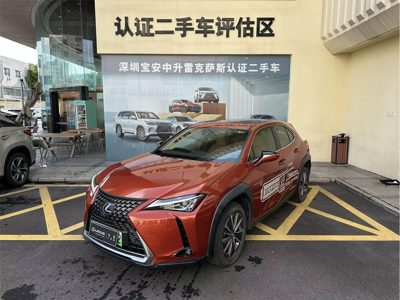 2021 Lexus UX
