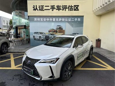 2021 Lexus UX