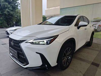 2025 Lexus NX