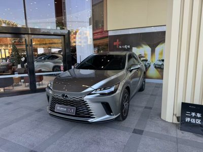2025 Lexus RX