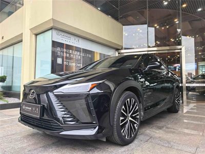 2023 Lexus RZ