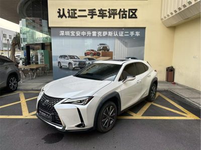 2021 Lexus UX