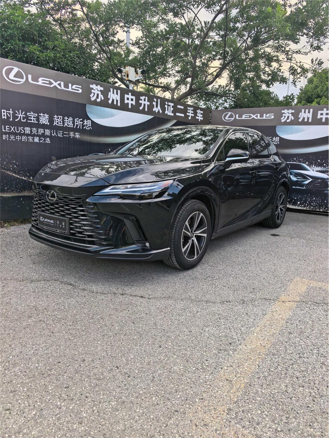 2025 Lexus RX