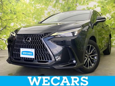 2023 Lexus NX NX250