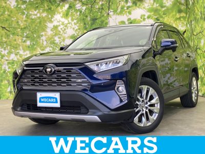 2019 Toyota RAV4 4WD G Z Package