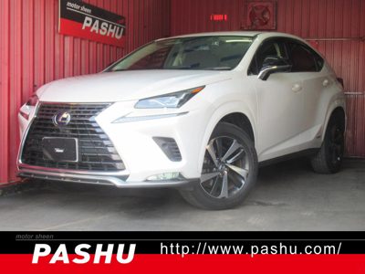 2020 Lexus NX 300Hスパイス&シック4WDHDDナビ地デTV本革Pシートマッドタイ