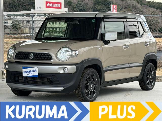 2019 Suzuki