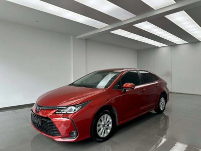 2019 Toyota