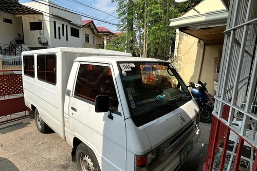2011 Mitsubishi L300