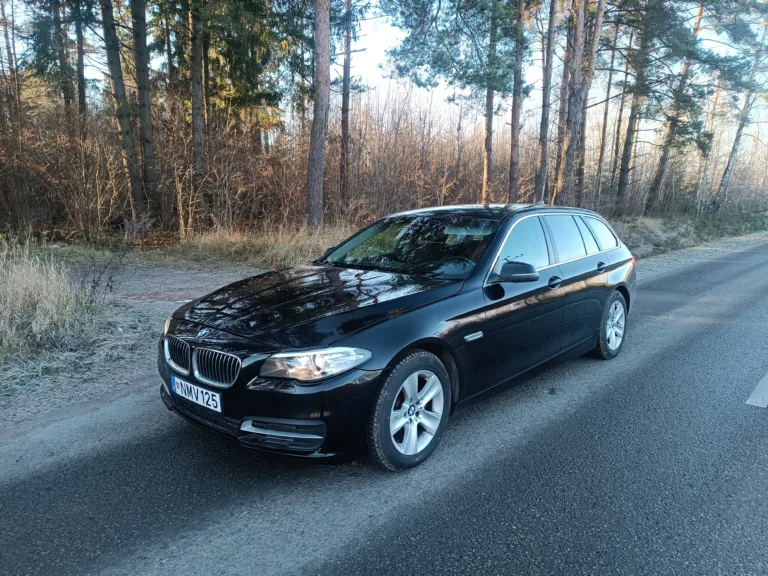 2013 BMW 5 Series SERIES518