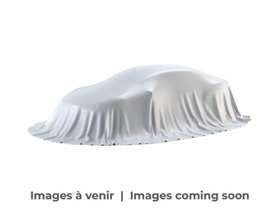 2019 Dodge Caravan CREWPLUS