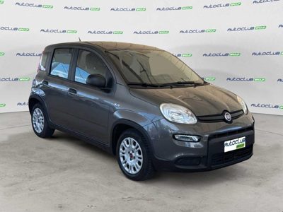 2022 Fiat Panda PANDA1.2EASYPOWERGPLS&S69CV