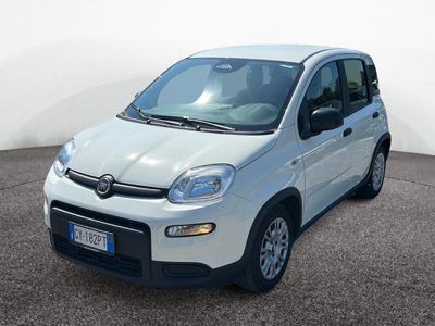 2025 Fiat Panda