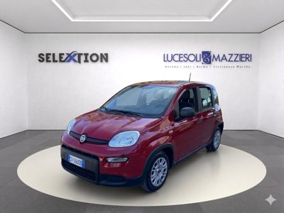 2024 Fiat Panda PANDA1.0FIREFLYSANDSHYBRID