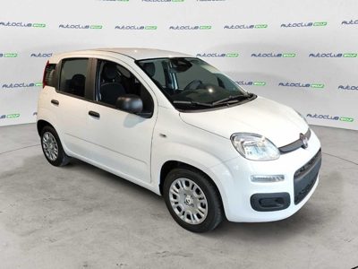 2026 Fiat Fiat