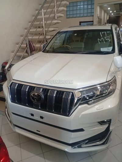 2020 Toyota Prado
