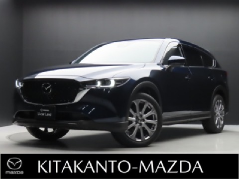 2024 Mazda CX-8