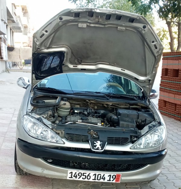 2004 Peugeot 206
