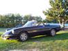 Alfa Romeo Spider