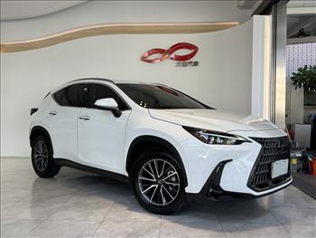 2025 Lexus NX 2025NX200豪華版