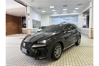 2019 Lexus NX
