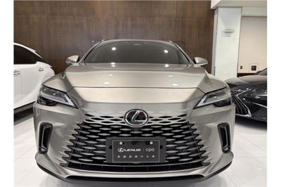 2025 Lexus RX