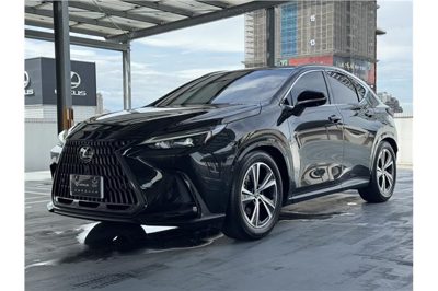 2025 Lexus NX