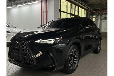 2025 Lexus NX