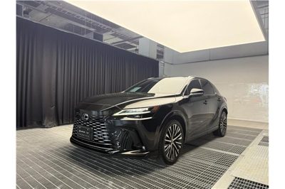 2024 Lexus RX