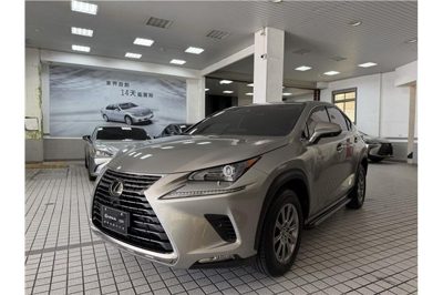 2020 Lexus NX