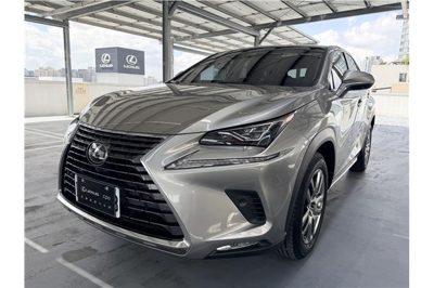 2020 Lexus NX
