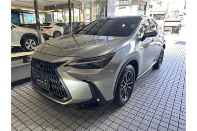 2025 Lexus NX