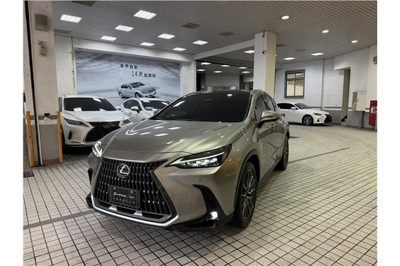 2025 Lexus NX