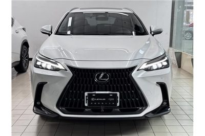 2025 Lexus NX