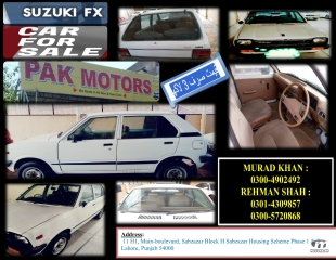 1987 Suzuki FX