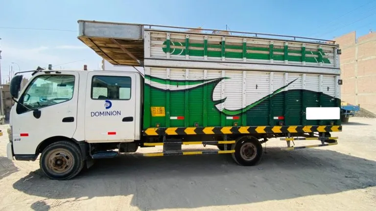 2015 Hino Dutro